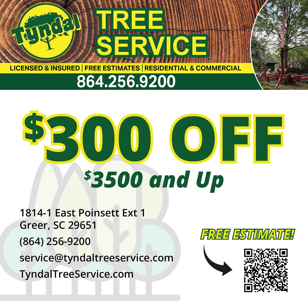 Tyndal Tree Service